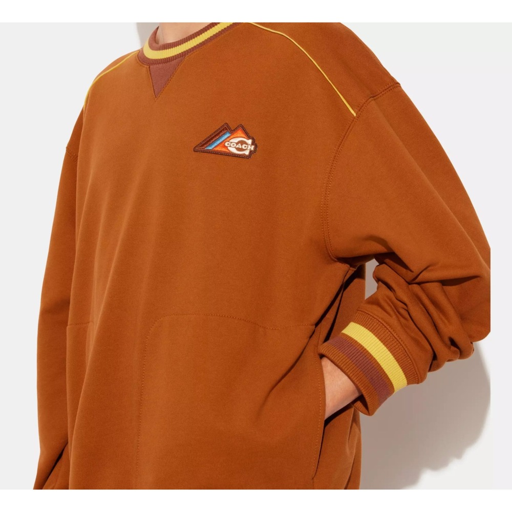 Coach FW22 Forever Caramel Logo Crewneck Sweatshirt Mens XS Brown CD209 - Picture 3 of 9
